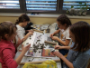 img-01f8efc1b97acd88842f77c0933dc434-v-1