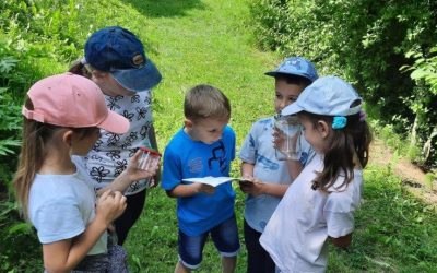 NARAVOSLOVNI DAN 1. RAZRED – OPAZOVANJE DROBNIH ŽIVALI